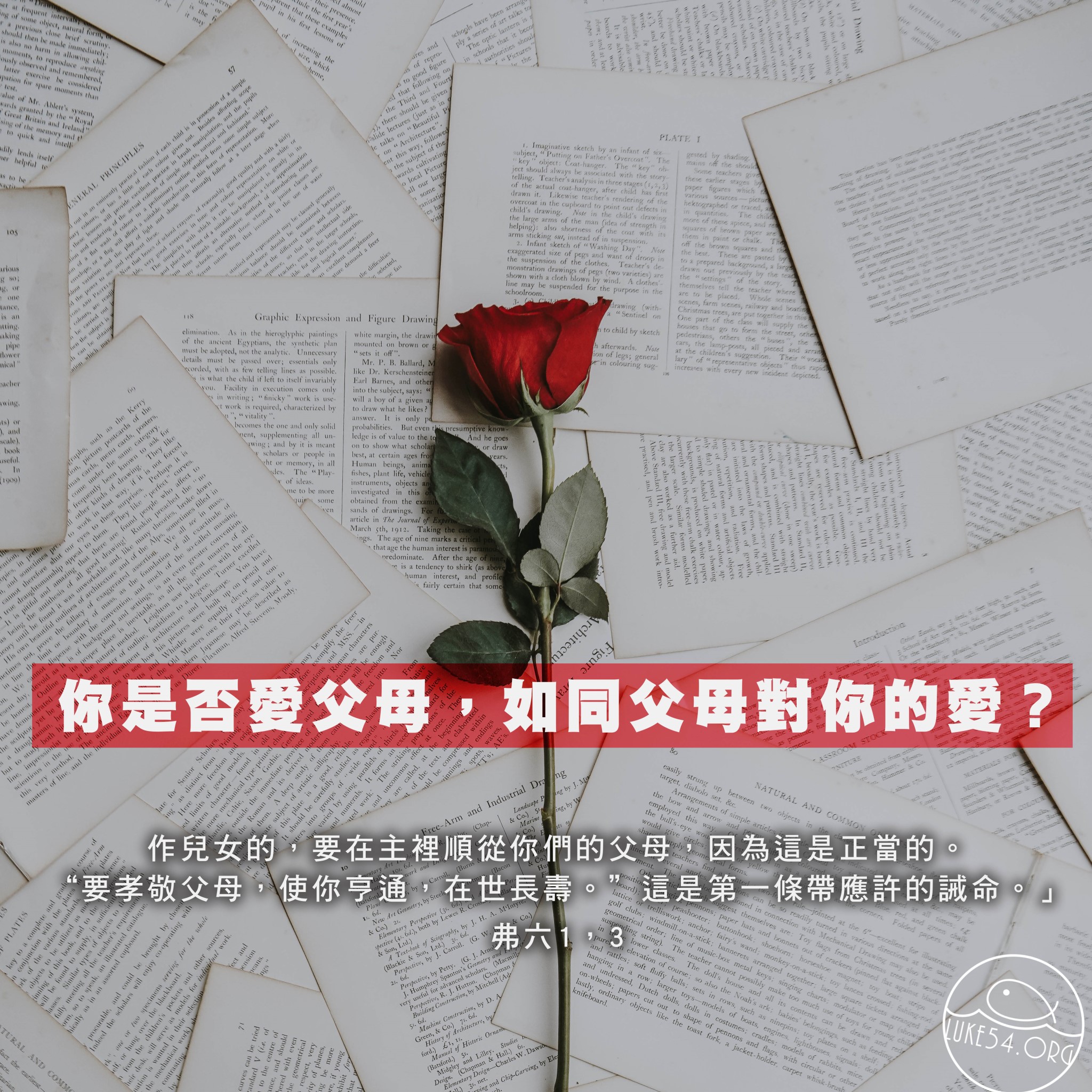 【水深LINE精選】 一朵玫瑰花