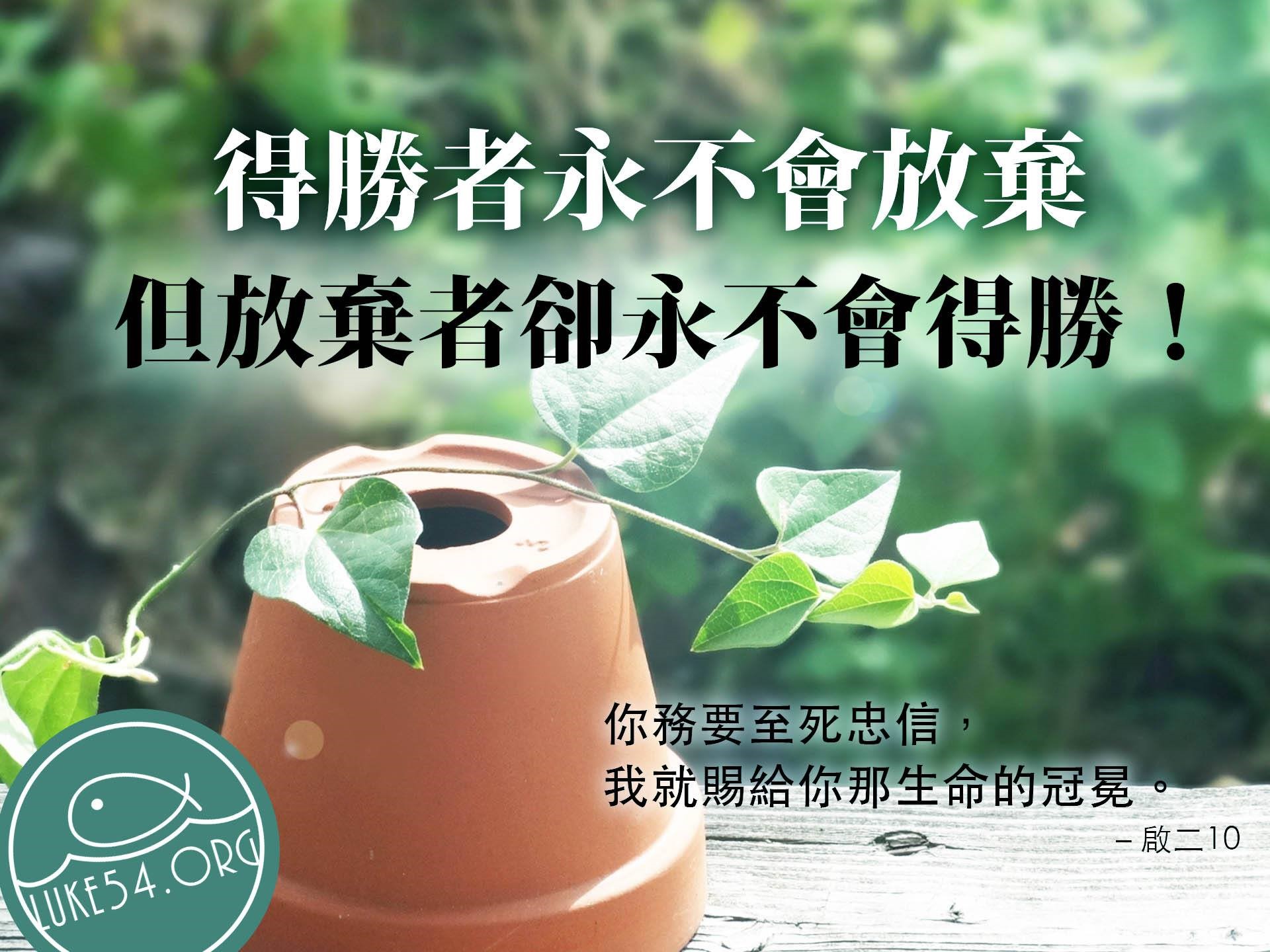 【水深LINE精選】 忠誠的狗