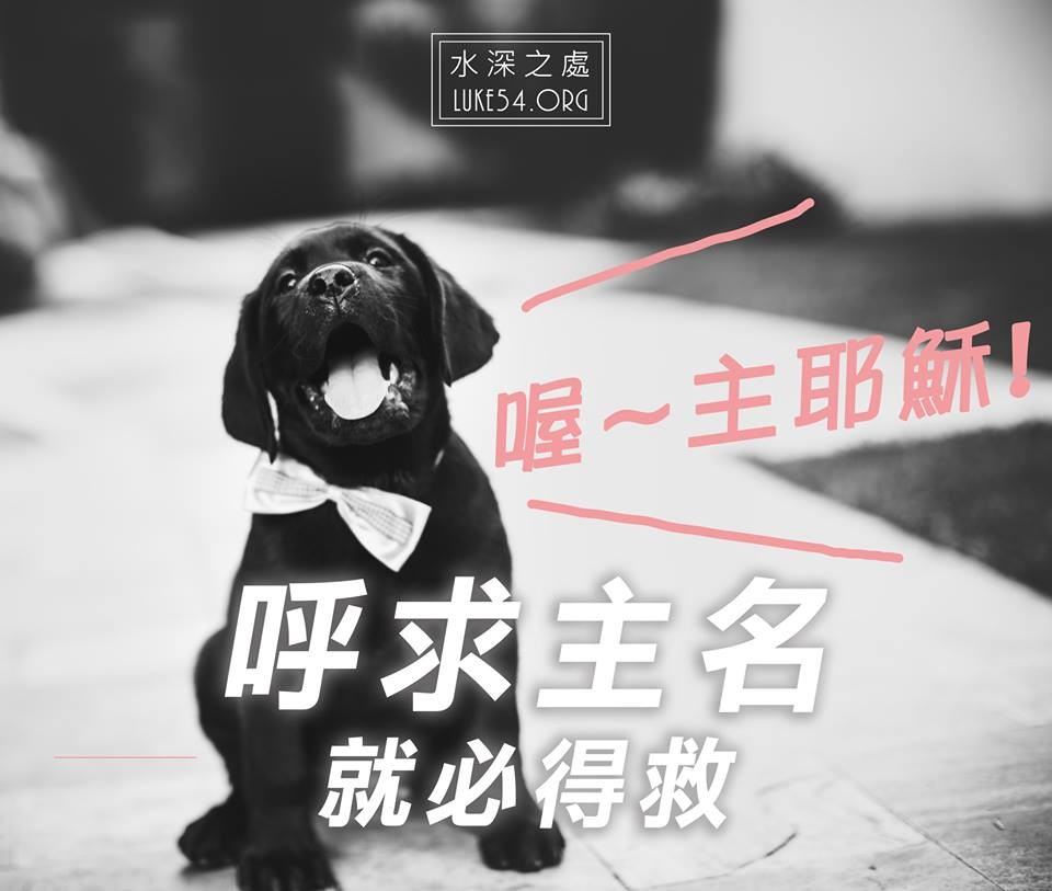 【水深LINE精選】我這脆弱的人,需要呼求主名!