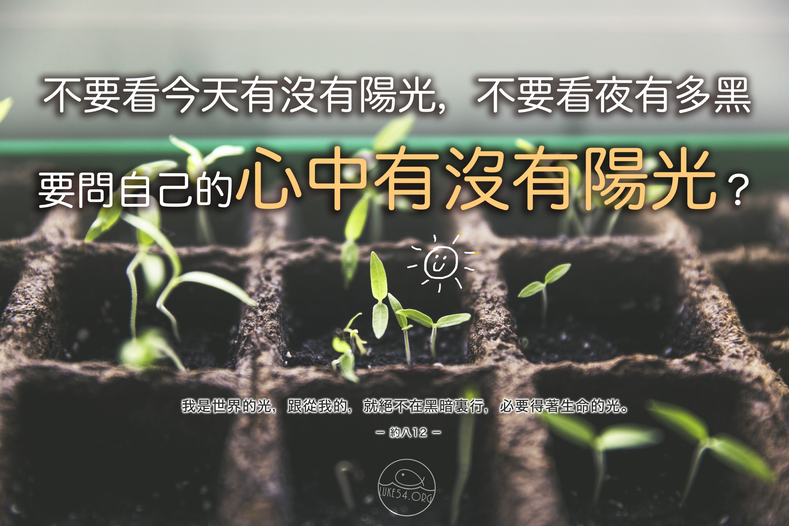 【水深LINE精選】 陽光就在自己頭頂