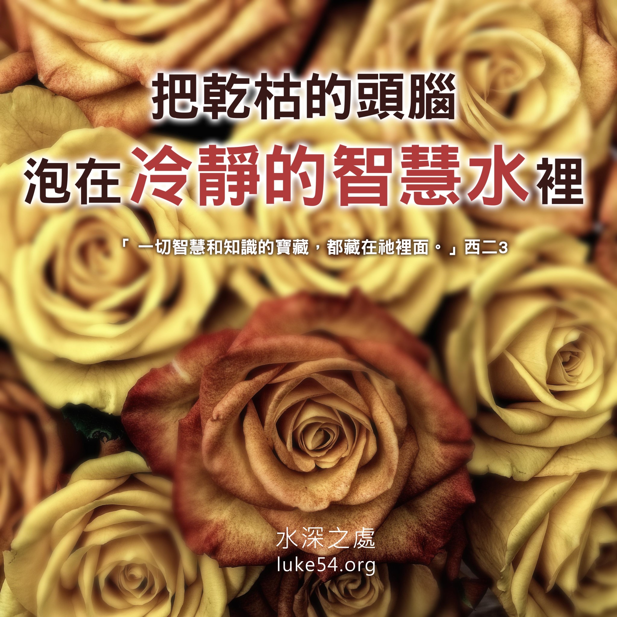 【水深LINE精選】乾枯的黃玫瑰