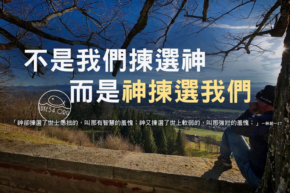 【水深LINE精選】弱枝與麻雀,誰比誰軟弱?