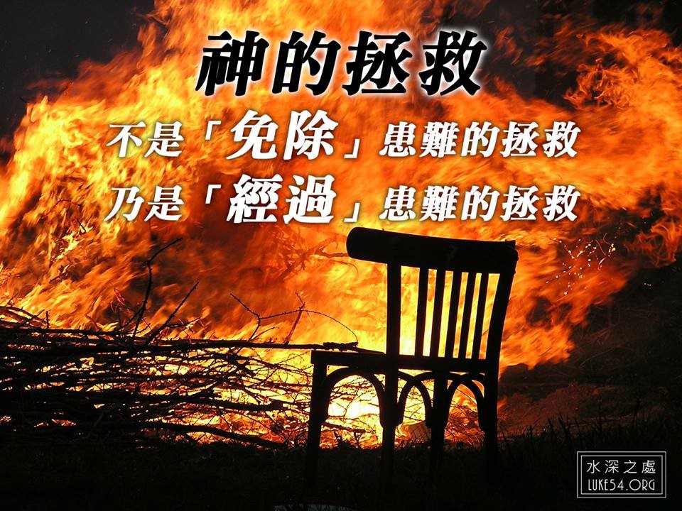 【水深LINE精選】有主在的地方,就是快樂的地方