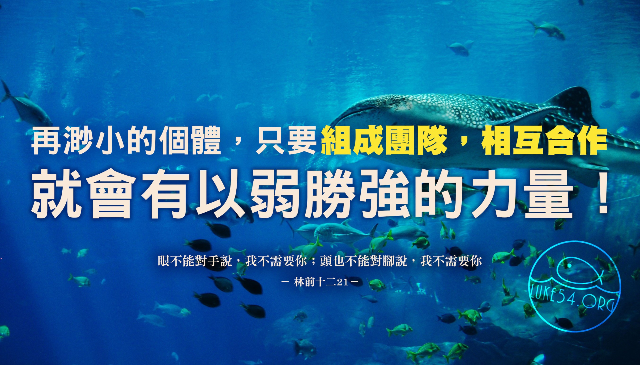 【水深LINE精選】大鯊魚vs鰷魚群