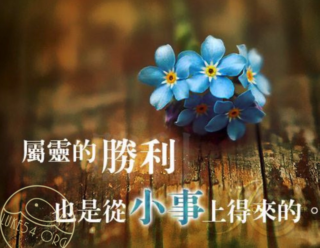 【水深LINE精選】傻小子當總裁