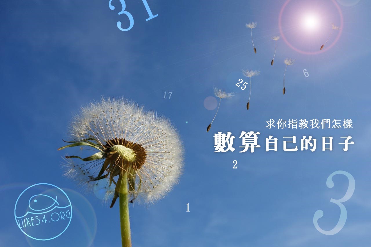 【水深LINE精選】神是我最大的資金