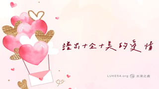 譜出十全十美的愛情