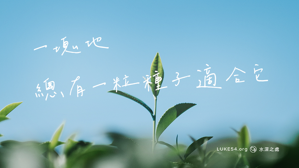 一塊地,總有一粒種子適合它