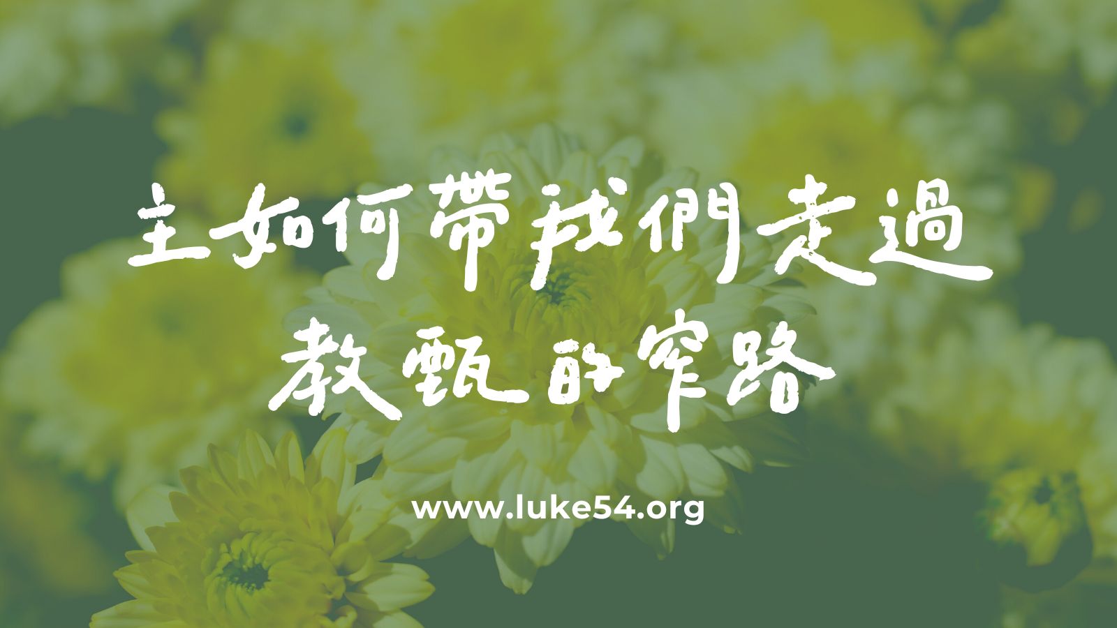 主如何帶我們走過教甄的窄路