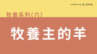 牧養主的羊
