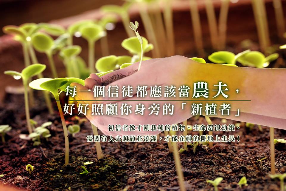 【說文解字】初信者:新栽種的植物