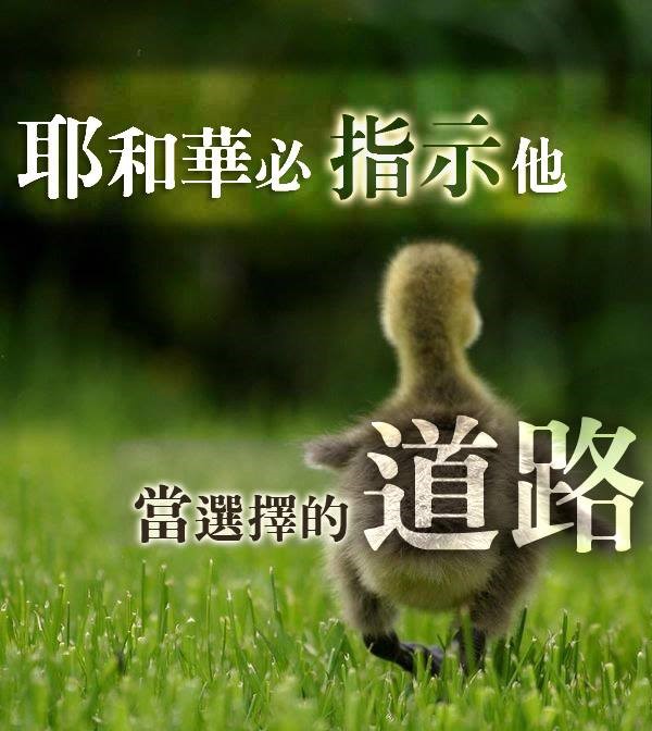 母親的糖果