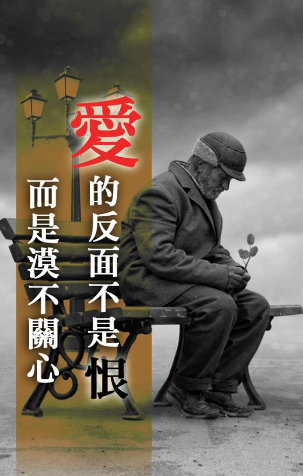 妳決定就好?