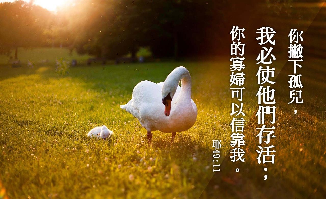 母親的責任
