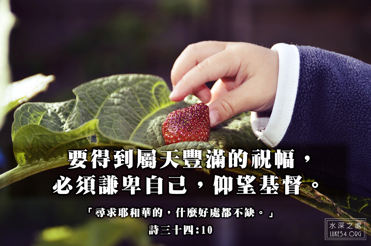 怎樣才能找到好的草莓 ?