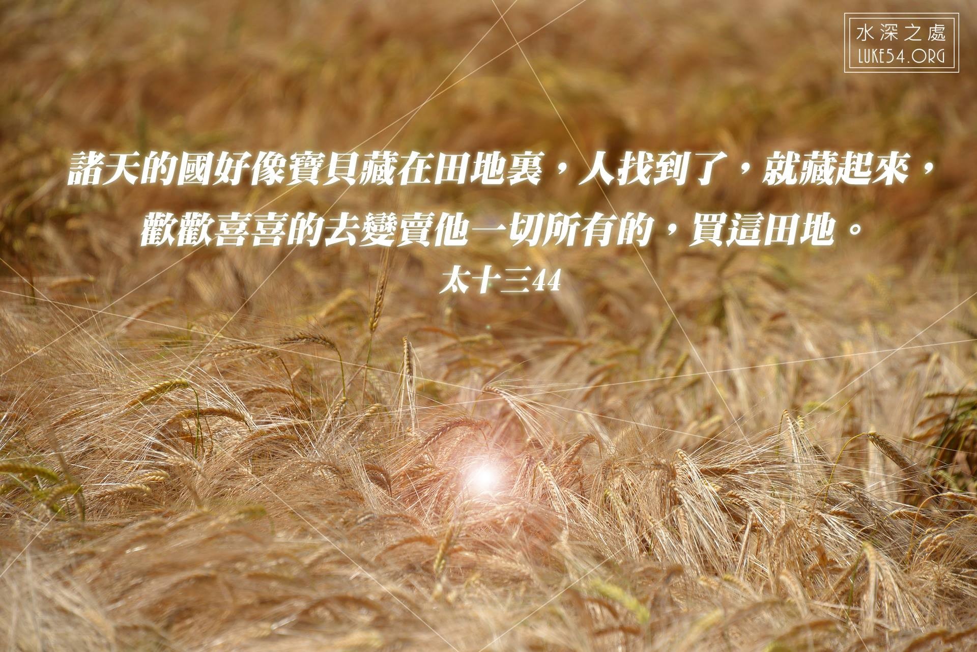 一塊地，總有一粒種子適合它