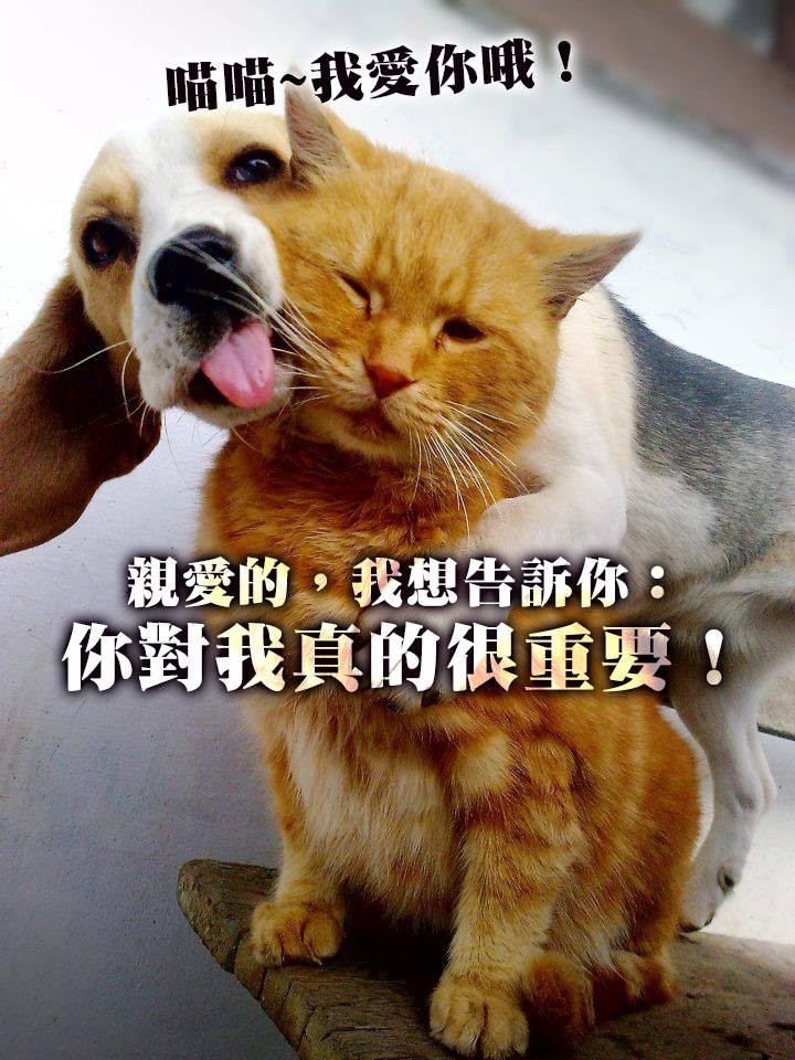 一通電話