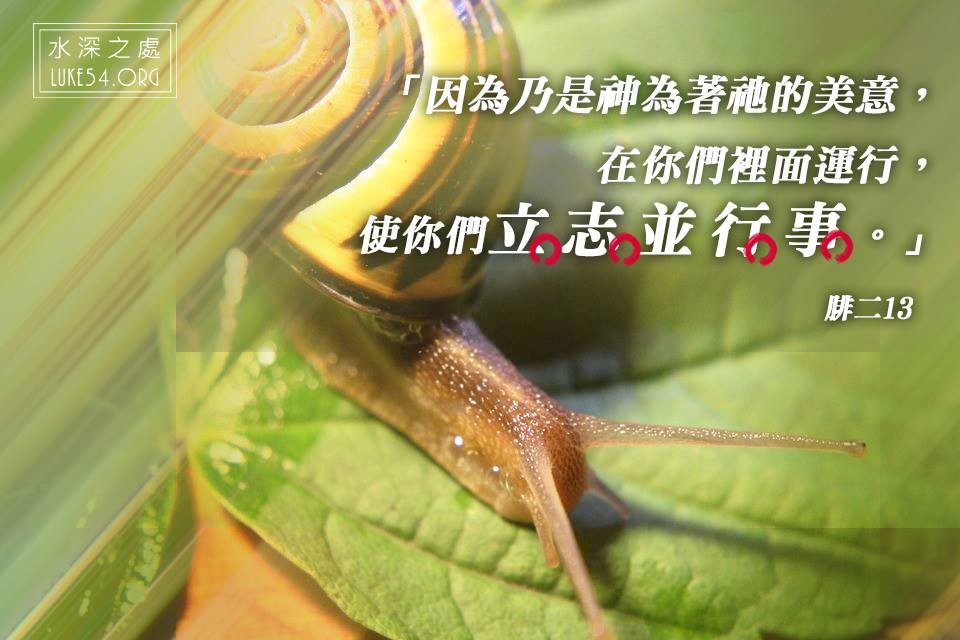 小蝸牛搬家