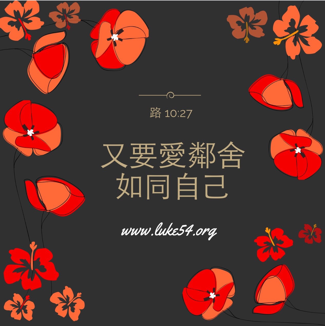 最強的解剖高手和最低的生物成績