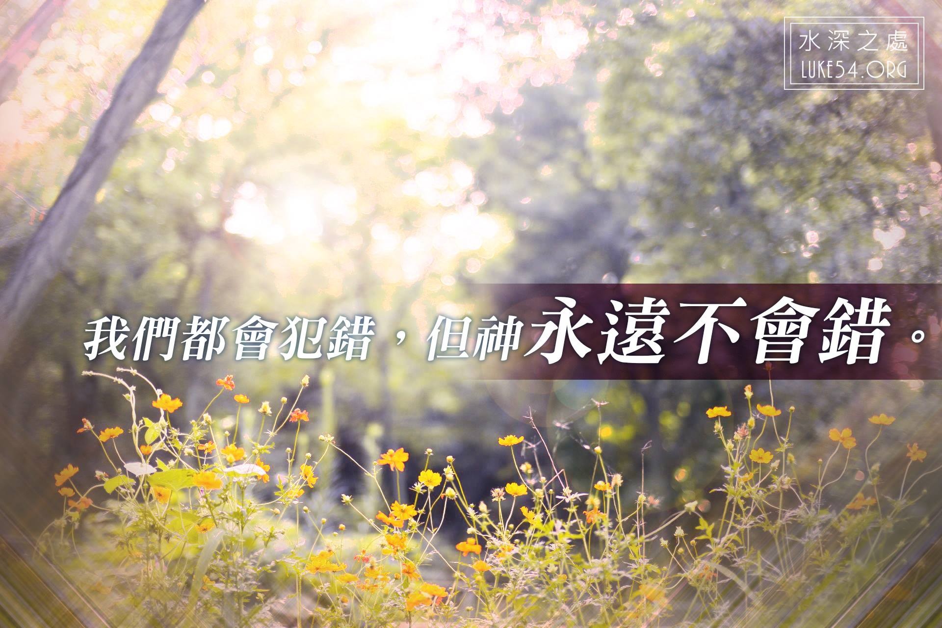 一個美麗的錯誤