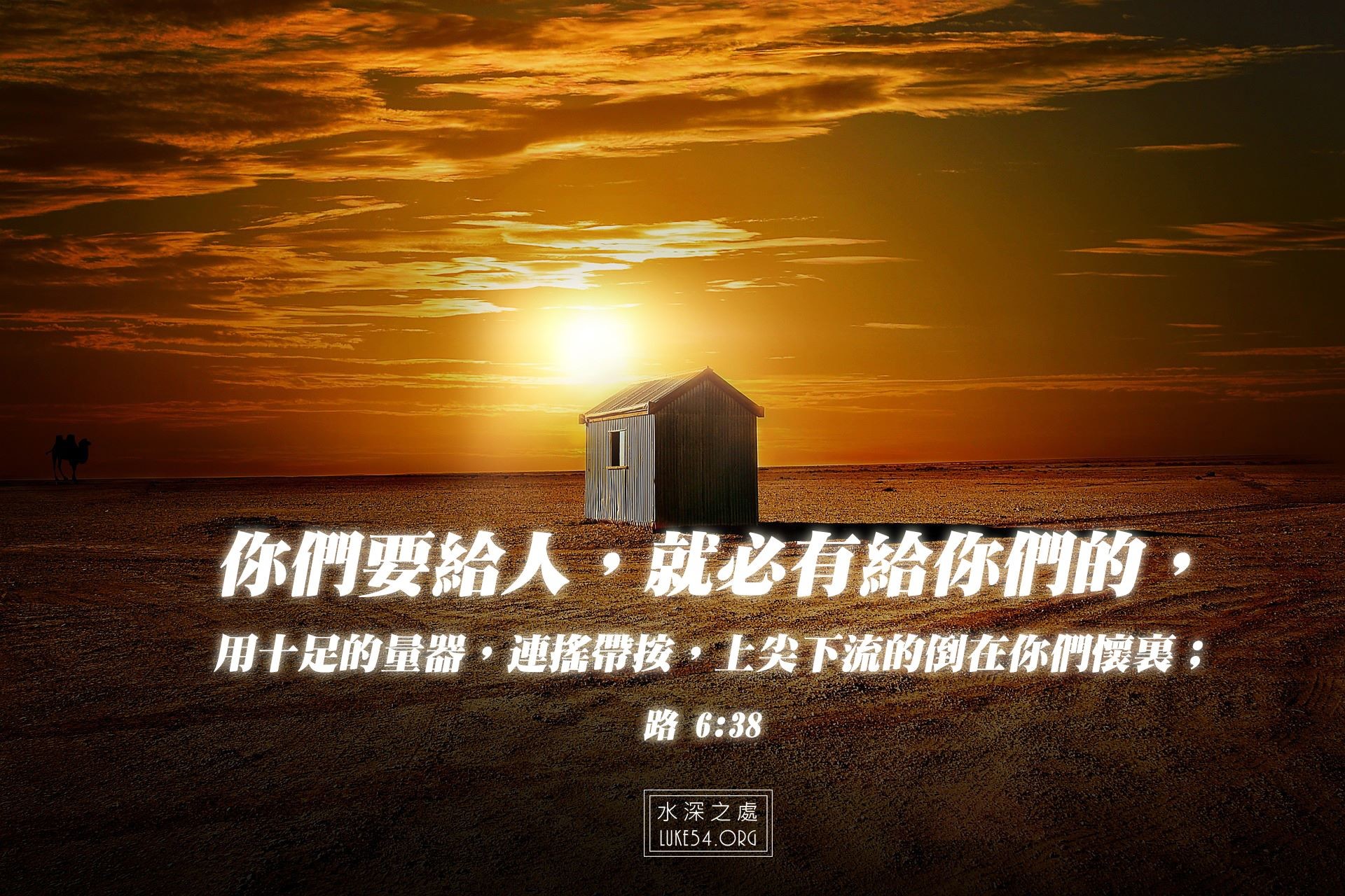 沙漠裡的一瓶水