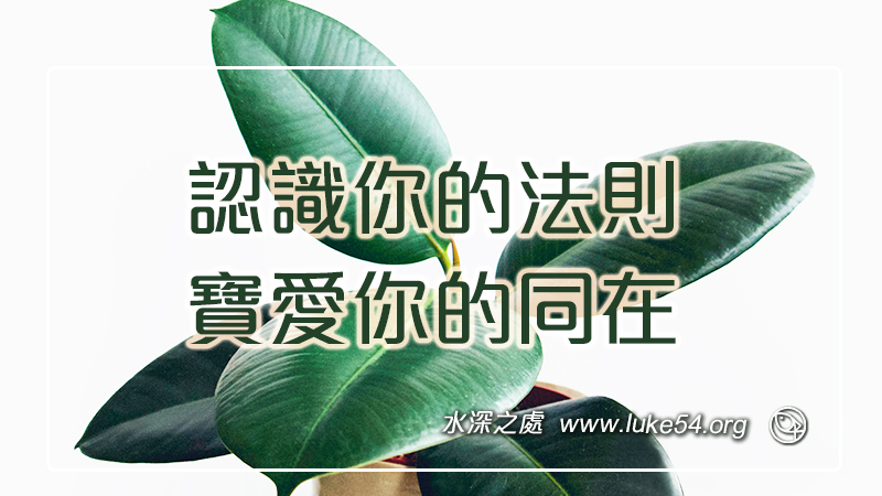 認識你的法則,寶愛你的同在