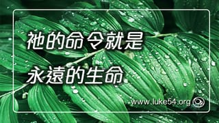 祂的命令就是永遠的生命