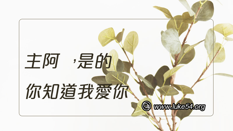主阿,是的,你知道我愛你