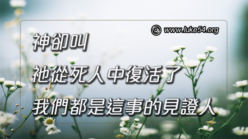 神卻叫祂從死人中復活了,我們都是這事的見證人