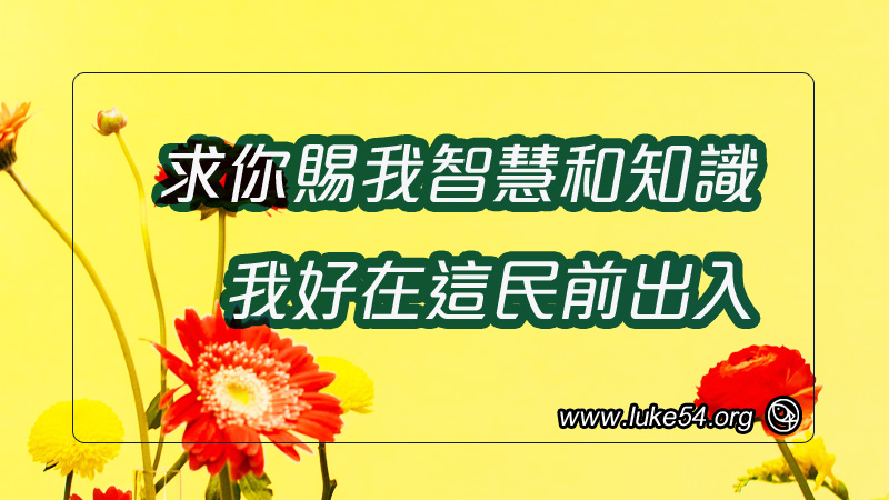 求你賜我智慧和知識,我好在這民前出入