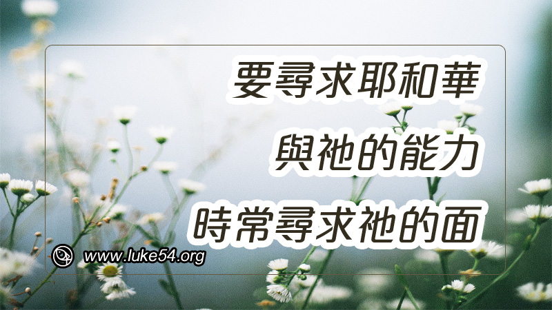 要尋求耶和華與祂的能力,時常尋求祂的面