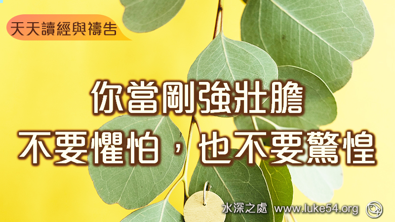 你當剛強壯膽,不要懼怕,也不要驚惶