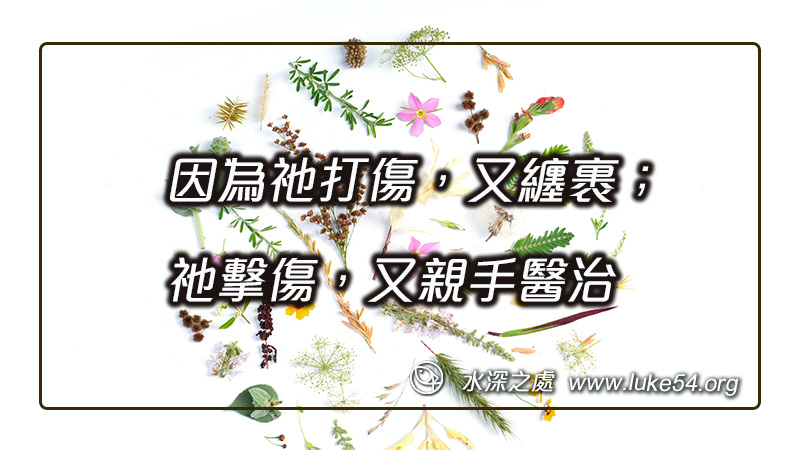 因為祂打傷,又纏裹;祂擊傷,又親手醫治