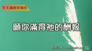 你來投靠耶和華以色列神的翅膀下,願你滿得祂的酬報
