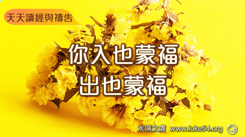 你入也蒙福,出也蒙福