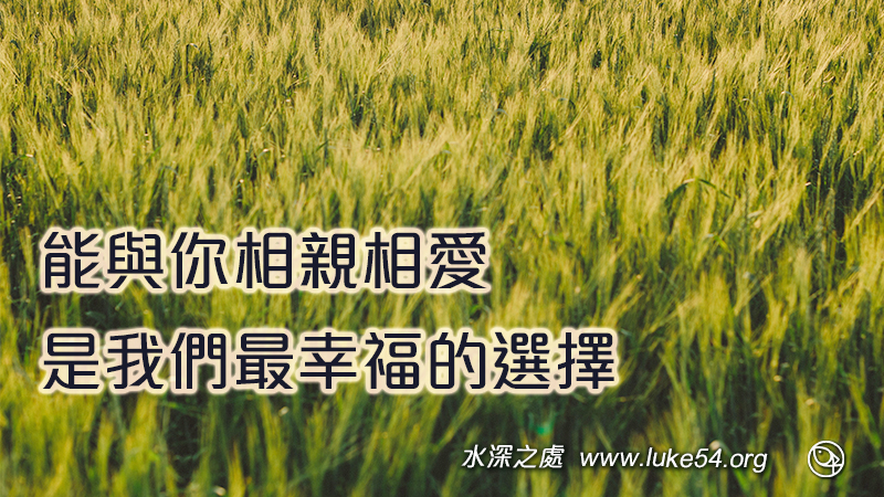 能與你相親相愛,是我們最幸福的選擇