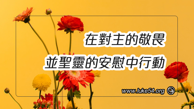 在對主的敬畏並聖靈的安慰中行動
