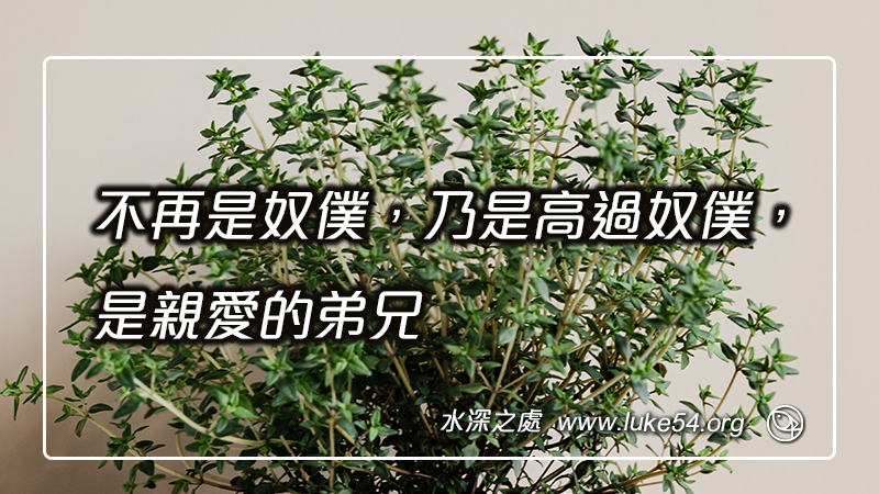 不再是奴僕,乃是高過奴僕,是親愛的弟兄