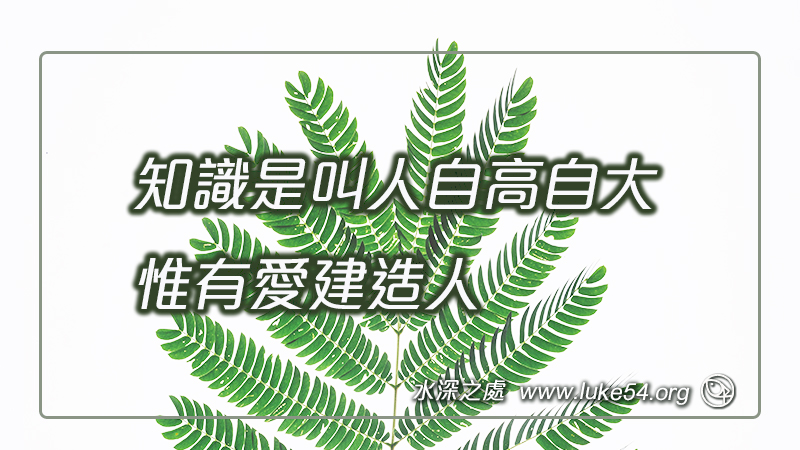 知識是叫人自高自大,惟有愛建造人