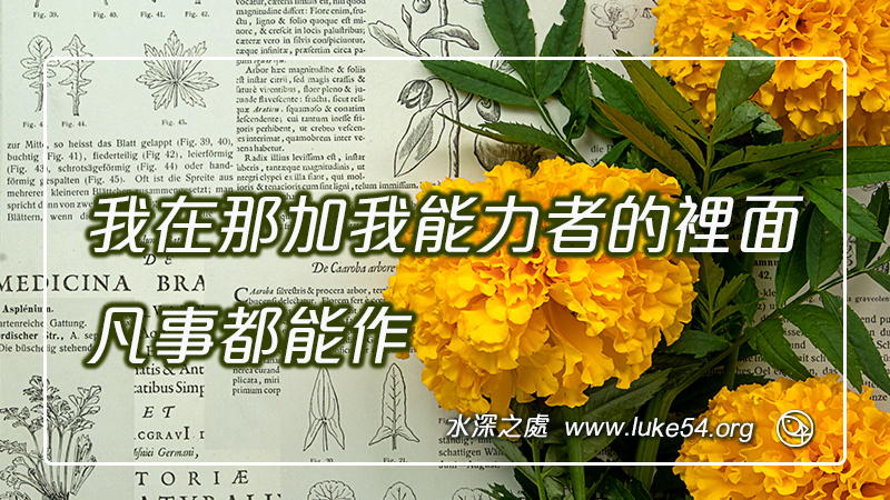 我在那加我能力者的裡面,凡事都能作