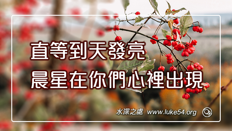 直等到天發亮,晨星在你們心裡出現