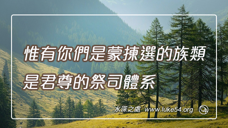 惟有你們是蒙揀選的族類,是君尊的祭司體系