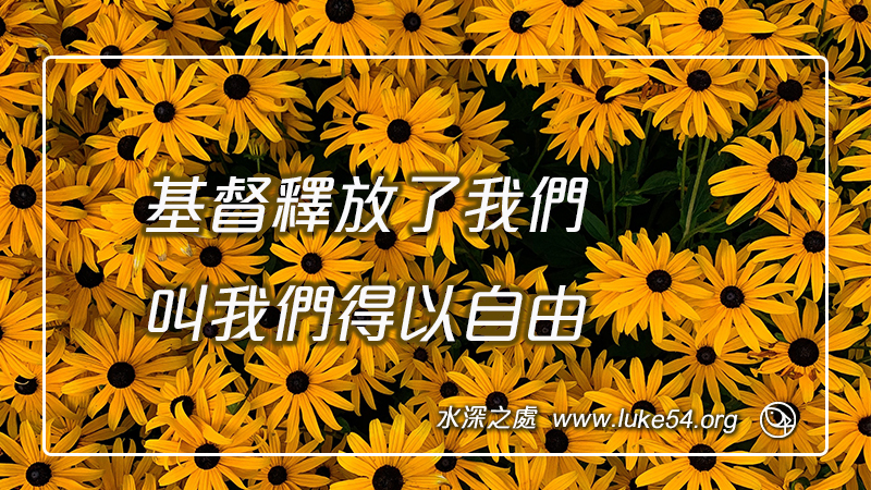 基督釋放了我們,叫我們得以自由