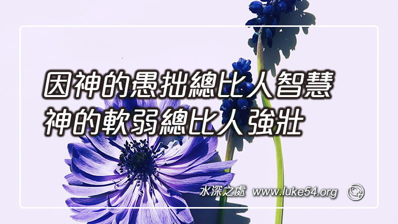 因神的愚拙總比人智慧,神的軟弱總比人強壯