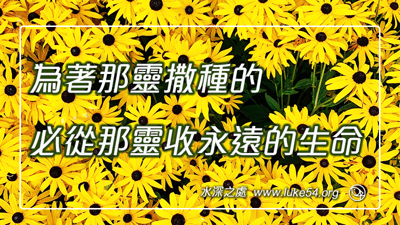 為著那靈撒種的,必從那靈收永遠的生命