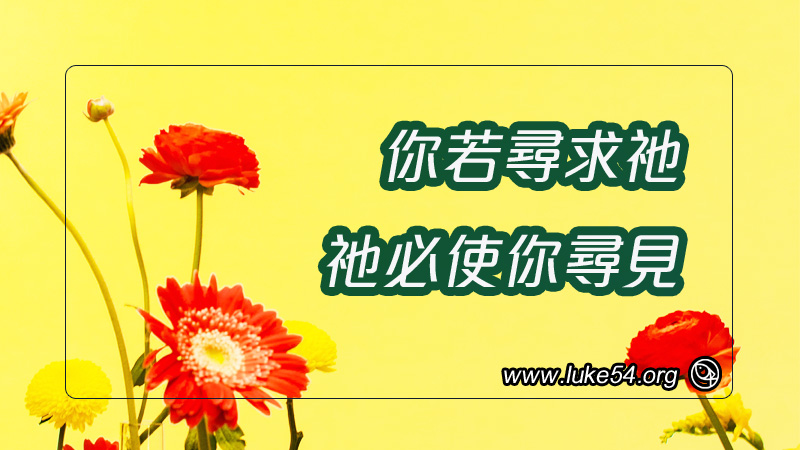 你若尋求祂,祂必使你尋見