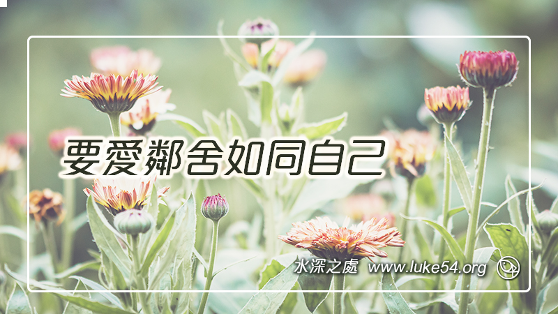 要愛鄰舍如同自己