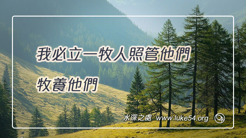 我必立一牧人照管他們,牧養他們