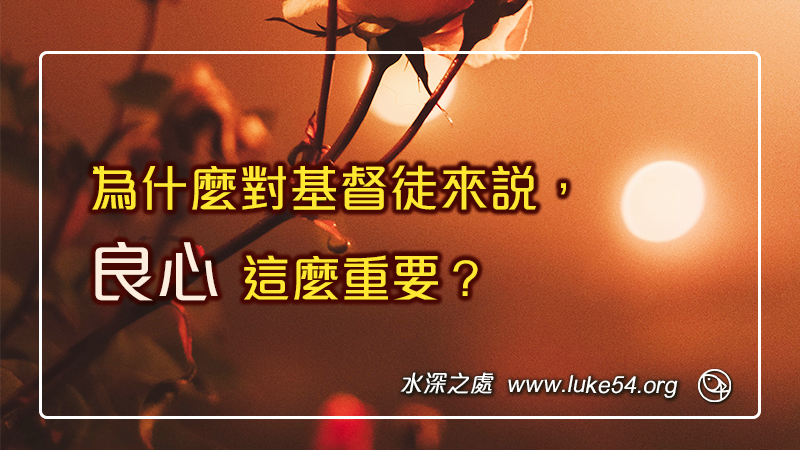 為什麼對基督徒來說,良心這麼重要?