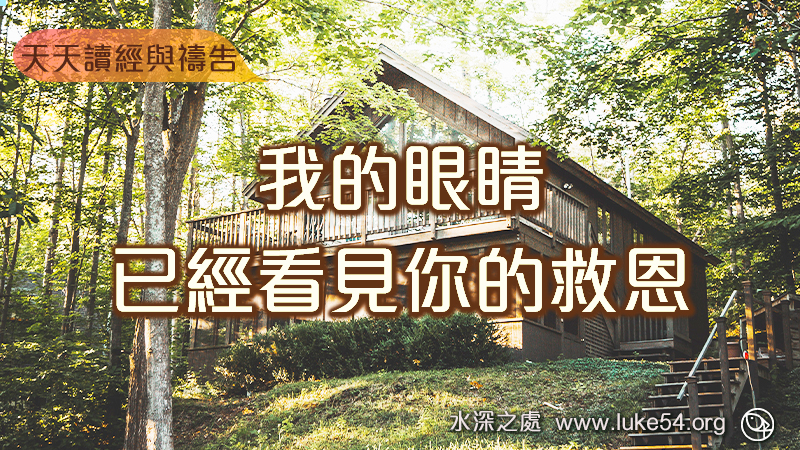我的眼睛已經看見你的救恩